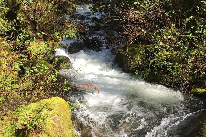Waterfall Wonderland Hike with Transport - Small Group, Real Attention, and a Name You Might Remember