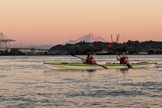 West Seattle Sunset Sea Kayak Tour - Wildlife near the Duwamish River, and why that matters on a short trip