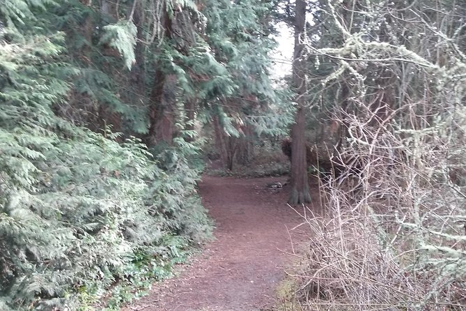 Whidbey Island Deception Pass Private SUV Tour - Fort Casey Historical State Park: why this fort feels different