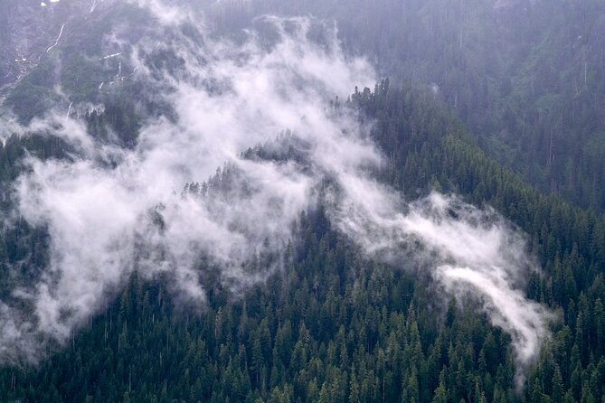 Winter Day Tour to Longmire on Mount Rainier from Seattle - Mount Rainier walks: old-growth forests, natural silence, and why winter changes everything