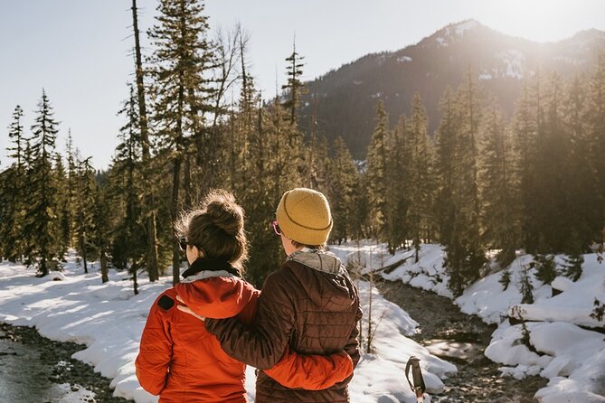 Winter Day Tour to Longmire on Mount Rainier from Seattle - Price, pickup, and what you actually get for $262