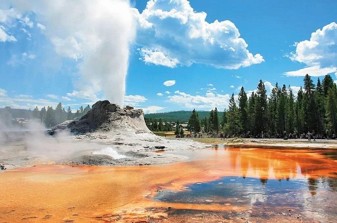 Yellowstone Grand Teton and Coeur d’Alene 5-Day Tour from Seattle - Day 4: Norris Geyser Basin, Mammoth Hot Springs, and the Roosevelt Arch stop
